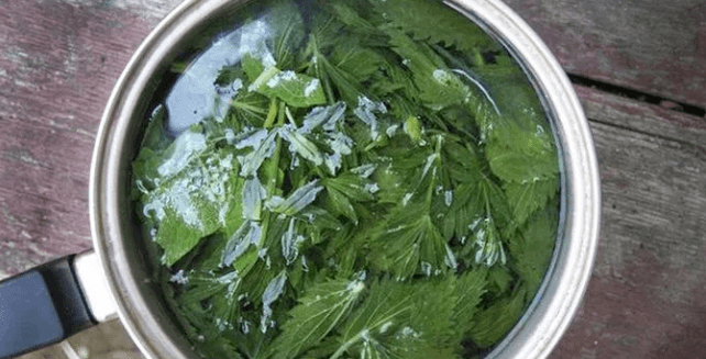 Hair loss treatment for folk therapy